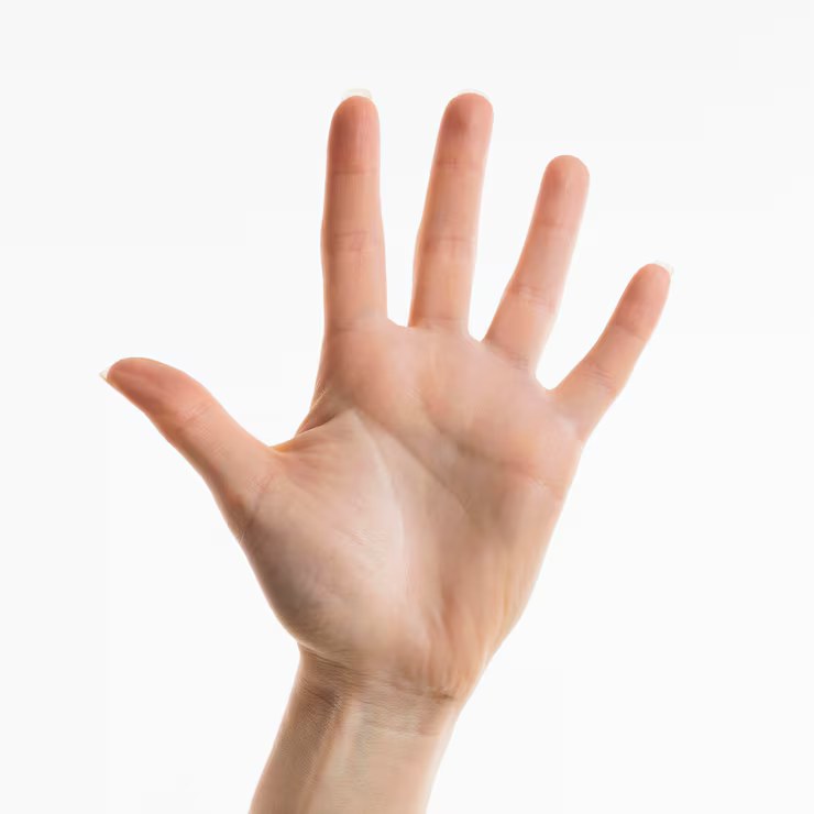 Photo de réalisation